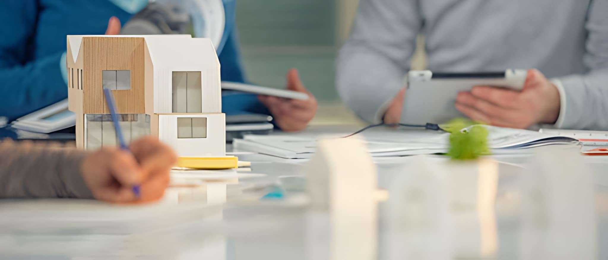 Entity Setup Advisory